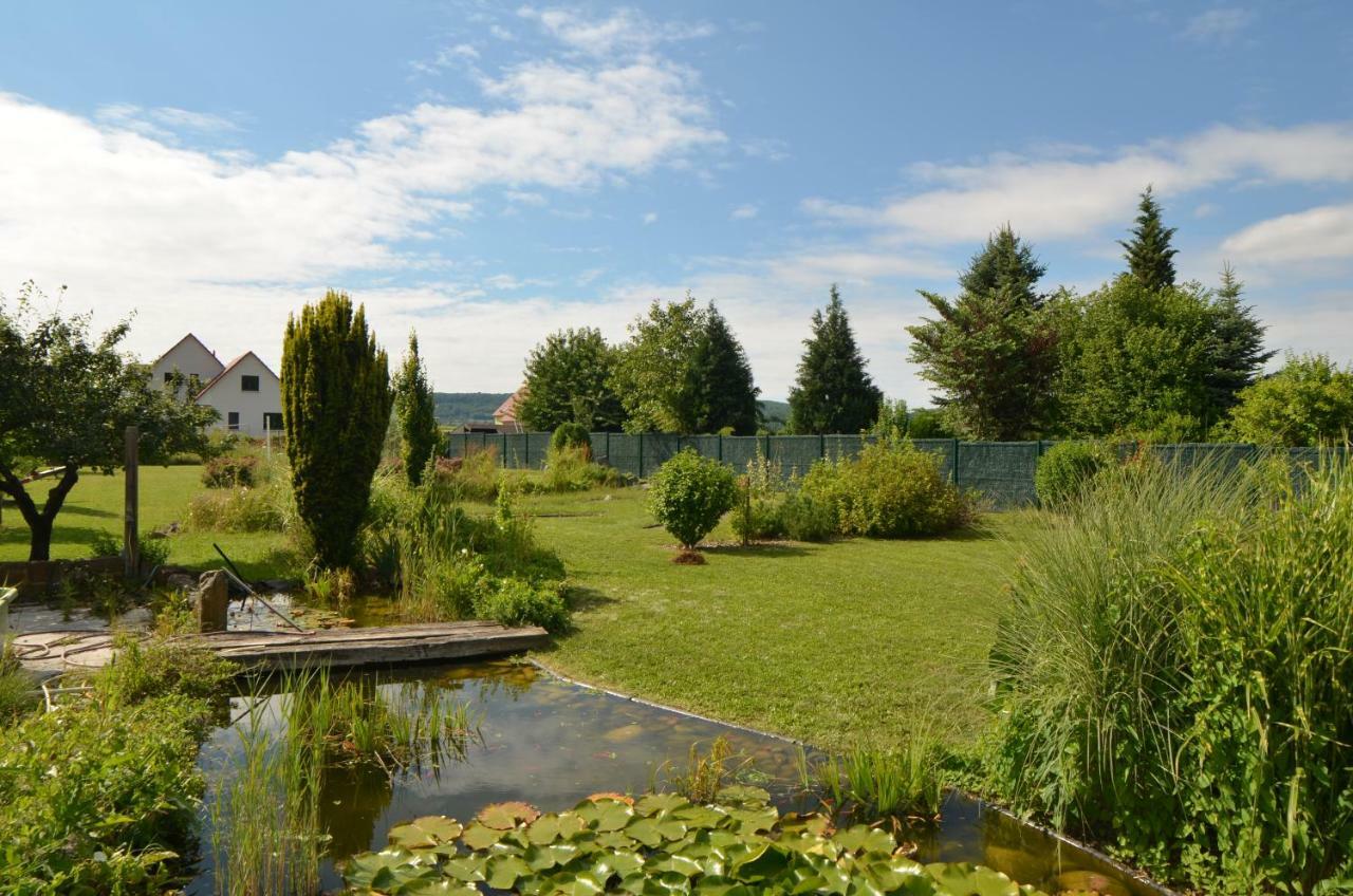 Gite Cigogne Odratzheim Экстерьер фото